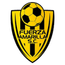 Fuerza Amarilla