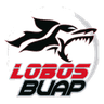 Lobos Buap