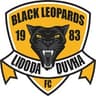 Black Leopards