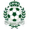 Dessel Sport